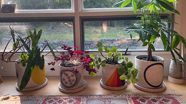 July 2023: Gardenista! Planters!