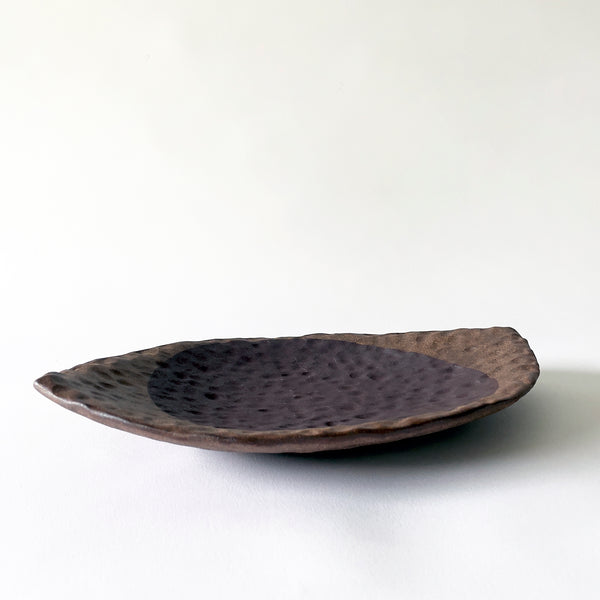 Dish Eye: Full Moon Dark Brown / Tucker Hamm