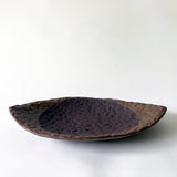 Dish Eye: Full Moon Dark Brown / Tucker Hamm
