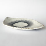Dish Eye: Sun Hammered