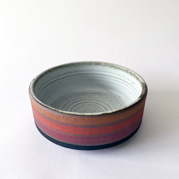 Dog Bowl: Rings Rainbow / TXD