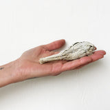 GIFT BOX: The MEGA Set!