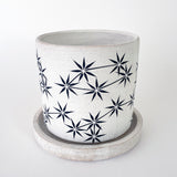 Planter: Constellations