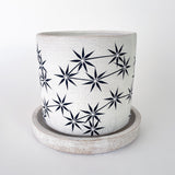 Planter: Constellations