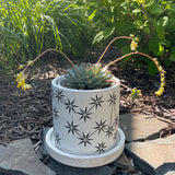 Planter: Constellations