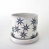Planter: Constellations