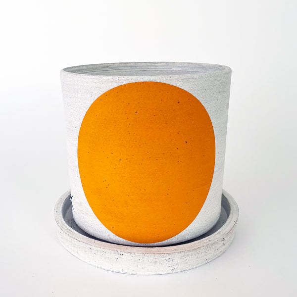 Planter: Domino Marigold (Split)