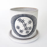 Planter: New Eye Constellations