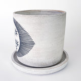 Planter: New Eye Constellations