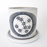 Planter: New Eye Constellations
