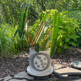 Planter: New Eye Constellations