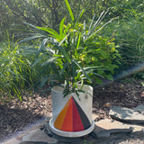 Planter: Prism Crescent Yellow
