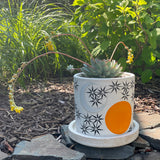 Planter: Sun Moon Stars Marigold
