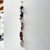 PLT1L-16 DISC: Rainbow / Tucker