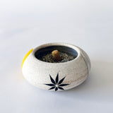 Rock Vessel XS: Crescent Yellow / Wht