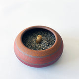 Rock Vessel XS: Rings Rainbow/ TXD