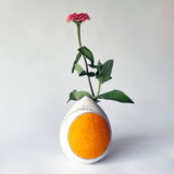 Seed Bud Vase: Crescent Marigold