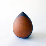 Seed Pod: Full Moon Marigold / TXD