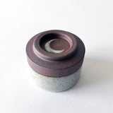 TBowl: Temple White / TXD