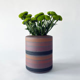 Vase: Rings Rainbow / TXD