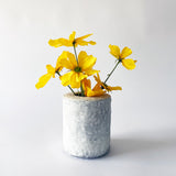 Vase XS: Star Sig / HAMM