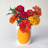 Vessel XS: Cres Marigold (Split)