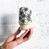 Capsule: Constellations