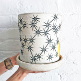 Planter: Crescent Marigold Constellations