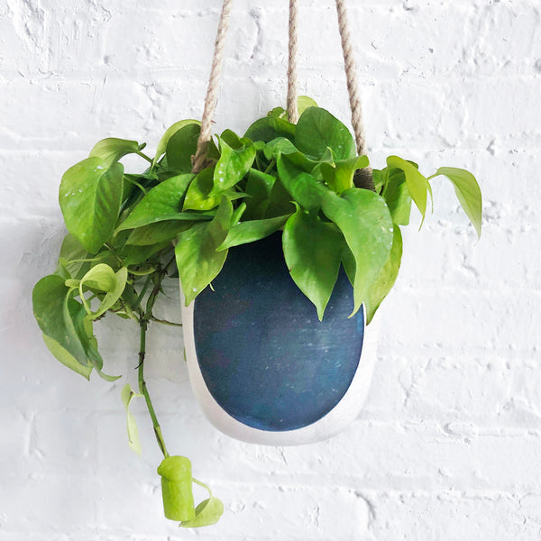 Planter Hanging: Full Moon Indigo