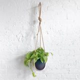 Planter Hanging: Full Moon Indigo